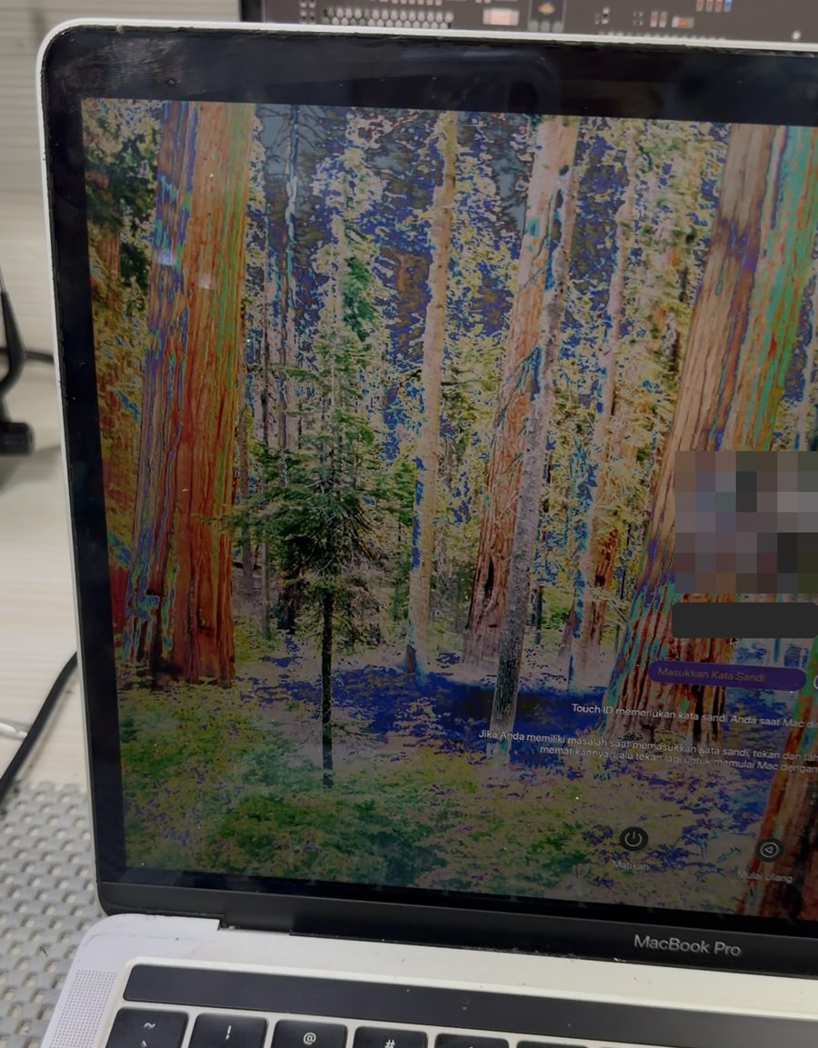 Layar MacBook Pro dengan warna tidak beraturan akibat Dustgate